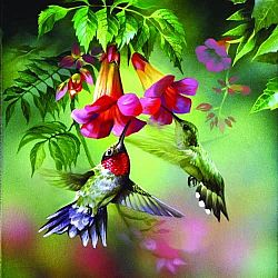Puzzle Summer Hummer 1000 pc